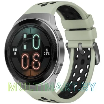 Смарт-часы Huawei Watch GT 2e Active HCT-B19 (черный/зеленый)